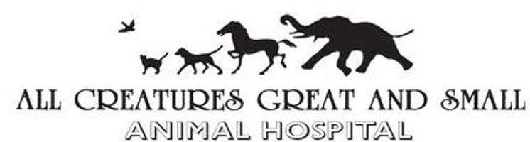 All Creatures Great and Small Animal Hospital Home